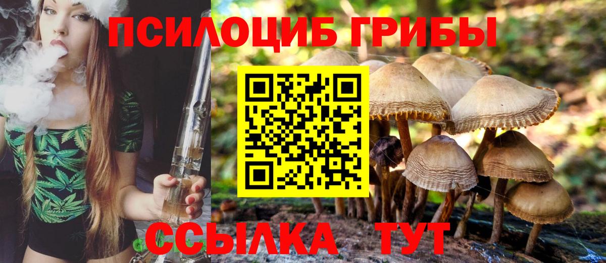 Псилоцибиновые грибы Psilocybe Миллерово