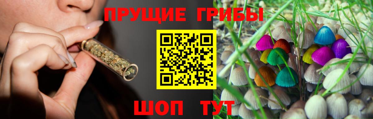 Миллерово  Галлюциногенные грибы ЛСД  Вход с VPN 